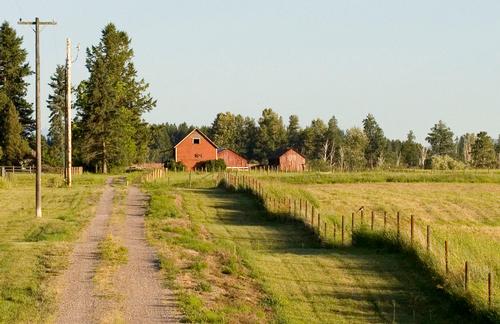 Photo by MSU Extension. A dirt driveway and rolling green fields leading to a red house with a barn. 